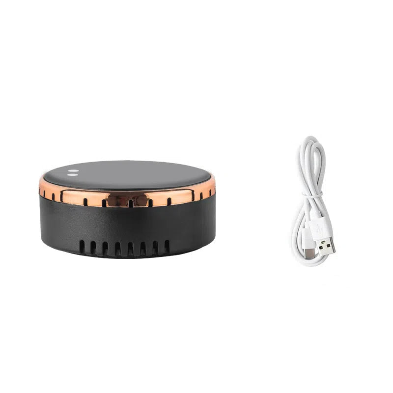 Solar-Powered Air Purifier for Car and Home – Negative Ion and Ozone Disinfection Device Solanly