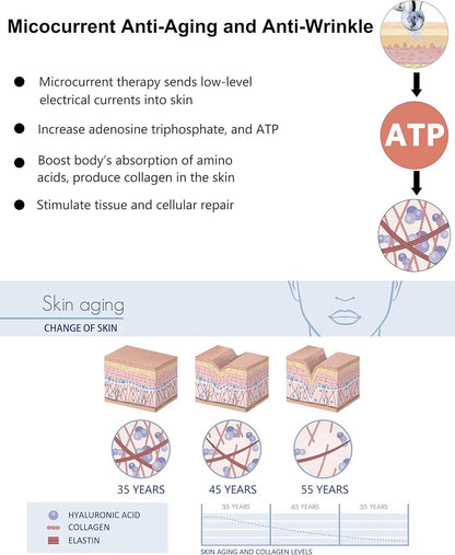 5D Microcurrent Face Massager Roller| Solanly - Solanly